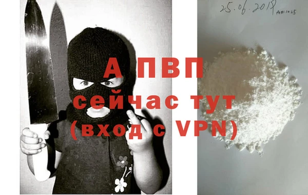 хмурый Кукмор