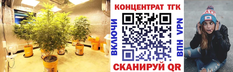 Дистиллят ТГК жижа  Купить где  Кремёнки 