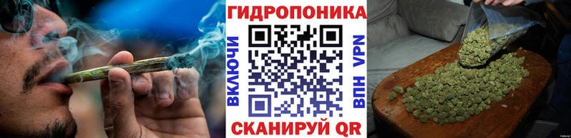 Конопля Bruce Banner  Купить где  Кремёнки 